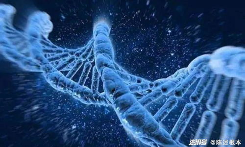 1. 潜意识驱动下的不良行为模式