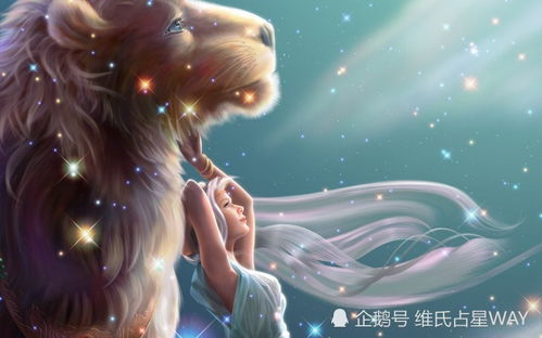 三、 身体机能与身体健康状况管理（身体健康状况状态）
