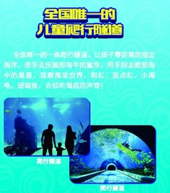 救命！这里的鱼会算命你敢信？