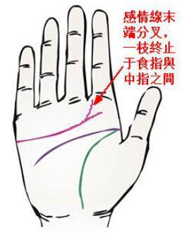 5．感情线浅薄且延伸至食指下方