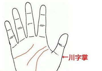 星纹、 财运线及其对财富有积累的指示