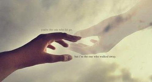 3. 风水鱼的灵动与生机