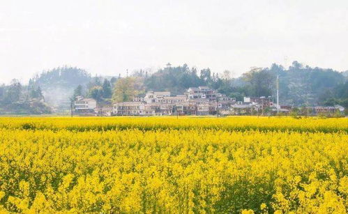 最佳季节策略：冬季游隐藏宝藏在这里！避开人潮陷阱很关键！