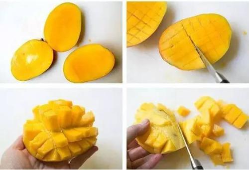 1. 必备工具及材料概述