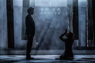 案例概述