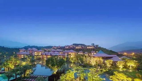 隐藏玩法大揭秘