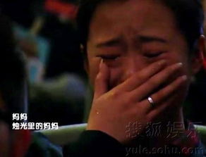 一、 历史的迷雾：繁衍与覆灭的赵氏谱章
