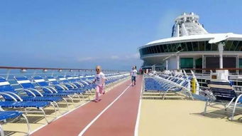 喜悦号邮轮：一场混乱与狂欢的海洋冒险