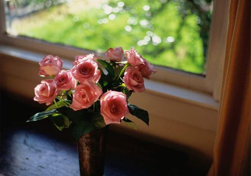 一、 桃花劫为不吉之象，应尽力避免为好