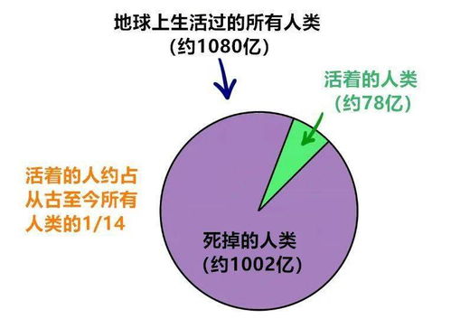 腰部有肉