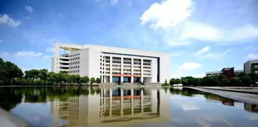 前言：在这个热得让人想裸奔的城市里寻找慰藉