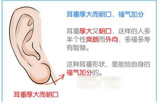 惊呆！老祖宗说耳朵长这样注定穷一辈子？真相太扎心