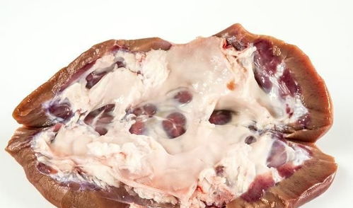 六、 高热量高胆固醇肉类对乳腺组织的刺激