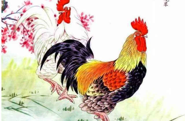 *三、列举一些典型案例，让你快速获取灵感*