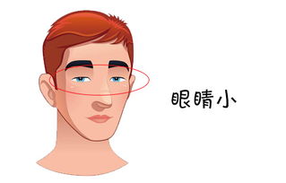 （一）女性群体较小眼睛的物品生活水平