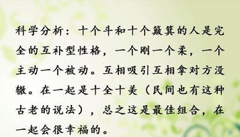 民间流行语与概率解析