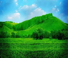 叶翦春云绿和青草萋萋遍野绿分别暗示哪个生肖？