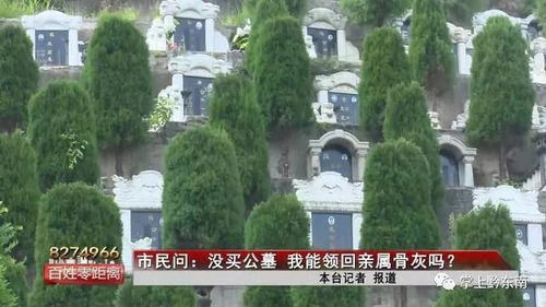 2026年5月骨灰移入墓地和8月迁坟分别选择哪个吉日最合适？