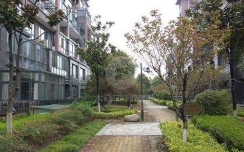 竞字到底有啥意思？先来点基础知识