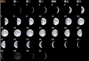 望月的农历日期是哪一天？月亮上弦是当月的什么时间？