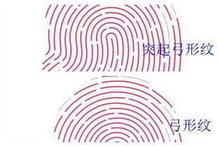 太阳系象征符号——炎热情而博炎热爱的先驱