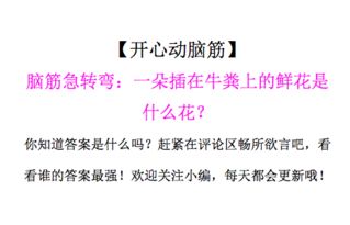 将灵机在线测这句话转换成更正式或书面化的表达，可以是：进行灵机在线测评或实施灵机在线测试活动。这样的表达更加规范和正式。