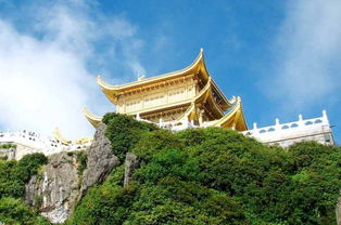 第四天：峨眉山上的猴子抢劫事件