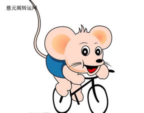 2026年属鼠人的运势如何，他们的运气会有哪些变化？