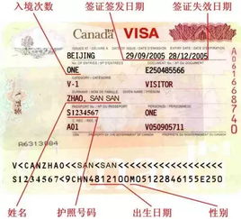 避坑指南——别让签证把你坑死