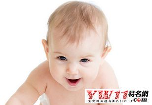 鸡年的特殊考量