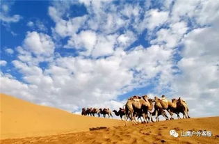 为什么偏偏是二月？