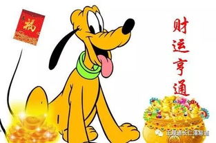 年龄的两种说法：周岁 vs 虚岁