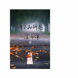行程与遗憾：未竟之志