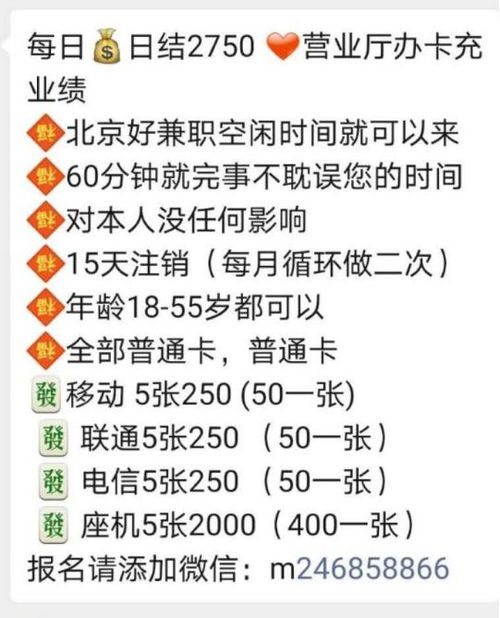 一、 基本个人信息与属相概述