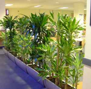 二、 阳台风水的实践与风险