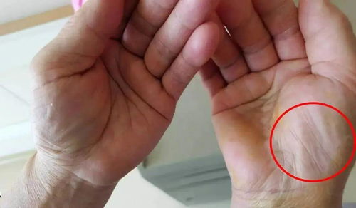 三、 右手视角：运势与外部表现的投射