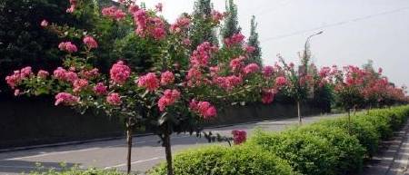 一、 概述与历史渊源