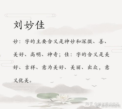 导言：命名学背景与理论框架