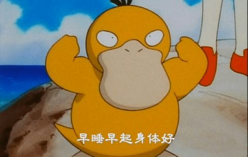 属鸡