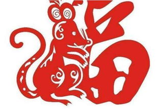 今日属马的人运势如何，属鼠的人吉凶怎样？