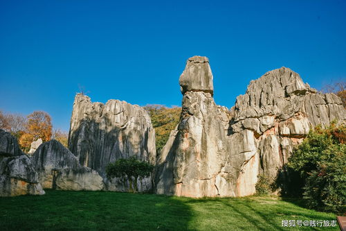 游客の血泪控诉