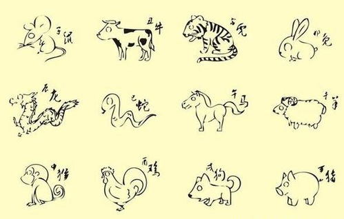 十二生肖龙婚姻组合配对表具体内容是什么？