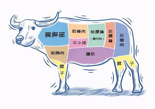1. 较高血压、糖尿病等常见缓慢性病的提前防范措施策略
