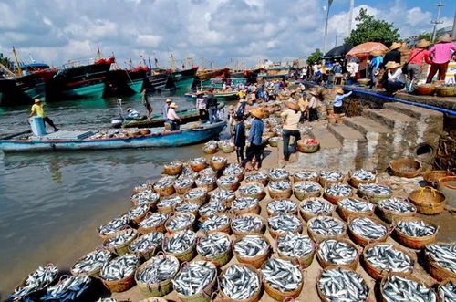 5. 潭门渔港：海鲜虽好，钱包勿扰