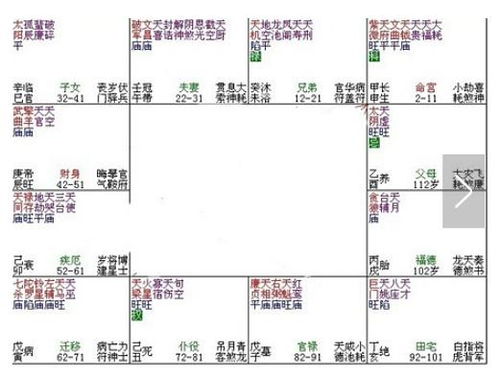 一、 紫微斗数理论框架与“富有市场价格较高格局”之定义