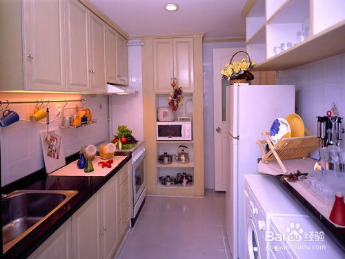 潮湿得能养青蛙