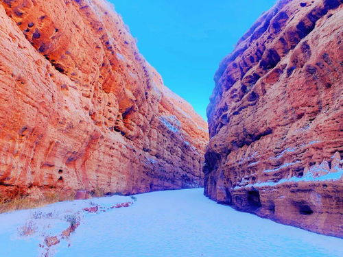 门票&优惠乱七八糟