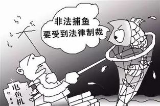 误以为幻觉后的再度行动