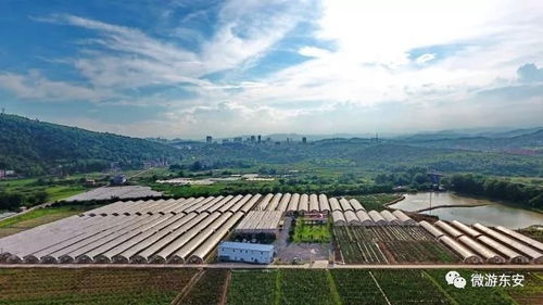 东安老街——时光倒流的感觉