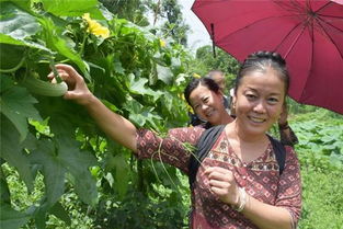 不同女人做这个梦差别可大了